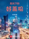 阳光下的好莱坞