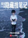 我有一本隐藏技笔记