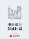 流量明星养成计划