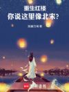 重生红楼,你说这里像北宋?