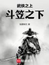 武侠之上,斗笠之下