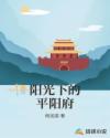 阳光下的平阳府