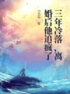 三年冷落,离婚后他追疯了