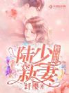 陆少新妻软白甜