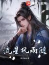 流星风雨随